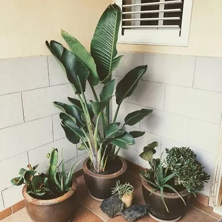 Fantastica Casa Frente Mar * El Médano