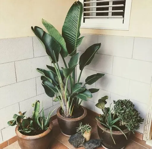 Fantastica Casa Frente Mar * El Médano